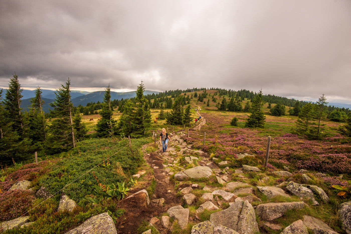 Wandeling vanuit Col de la Schlucht: Rochers Hirschsteine